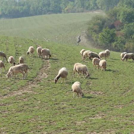 Agriturismo Ca Bella