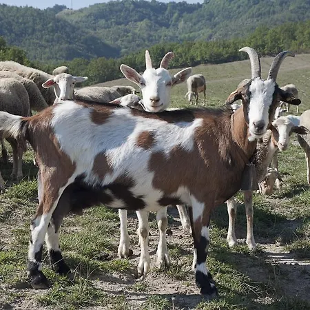Agriturismo Ca Bella * San Sebastiano Curone