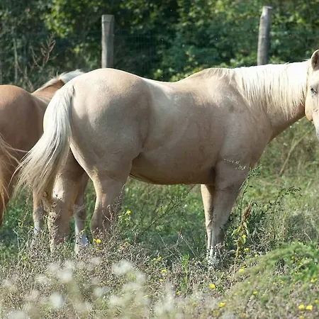 Agriturismo Ca Bella *