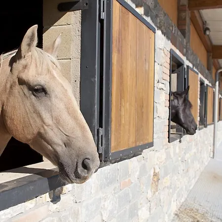 Agriturismo Ca Bella Farm stay *