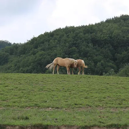 Agriturismo Ca Bella San Sebastiano Curone