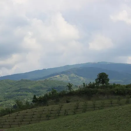 Agriturismo Ca Bella San Sebastiano Curone