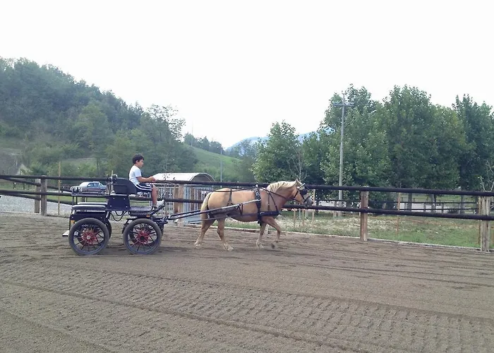 Agriturismo Ca Bella Çiftlik konaklama San Sebastiano Curone