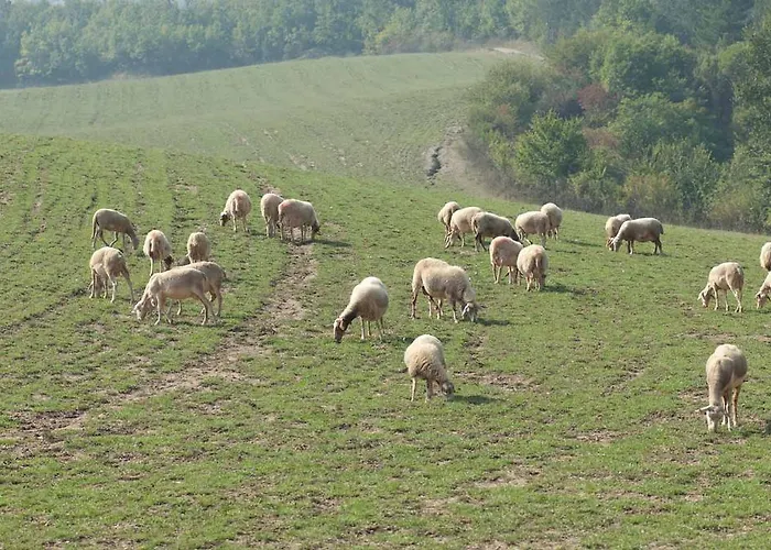 Agriturismo Ca Bella
