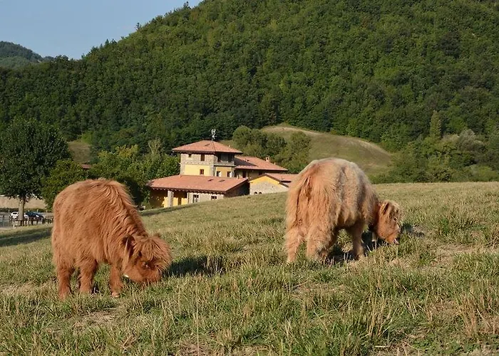 Agriturismo Ca Bella 팜스테이 산세바스티아노쿠로네