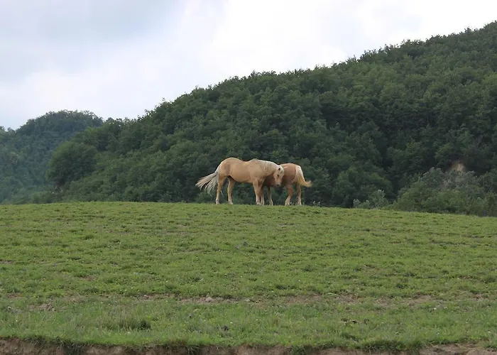 Agriturismo Ca Bella 산세바스티아노쿠로네