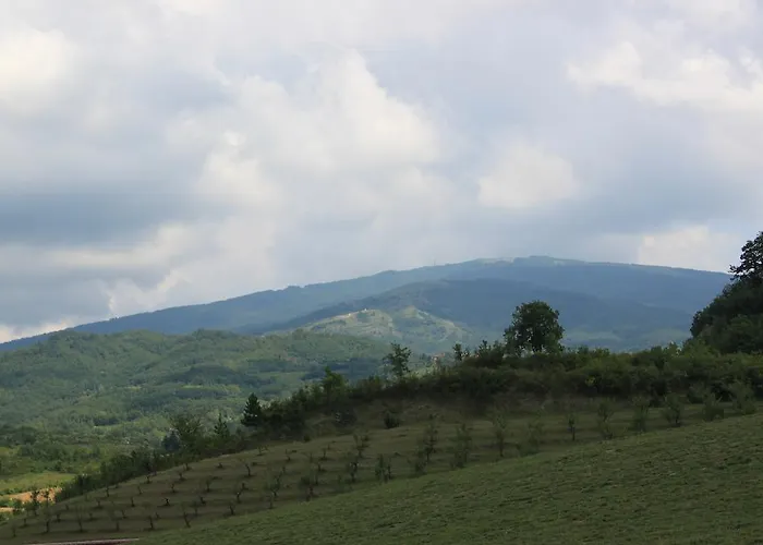 Agriturismo Ca Bella 산세바스티아노쿠로네